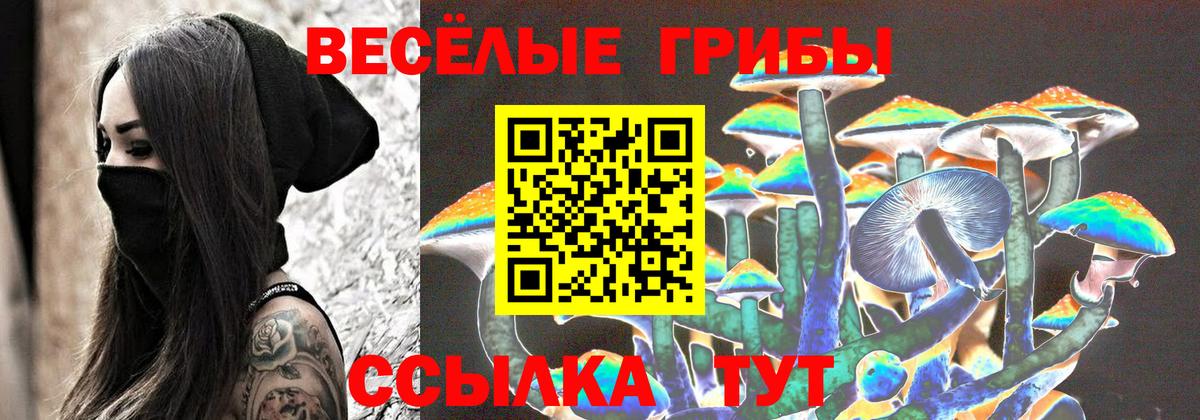 Псилоцибиновые грибы Psilocybine cubensis  Псилоцибиновые грибы Magic Shrooms  Комсомольск-на-Амуре  Вход с VPN 